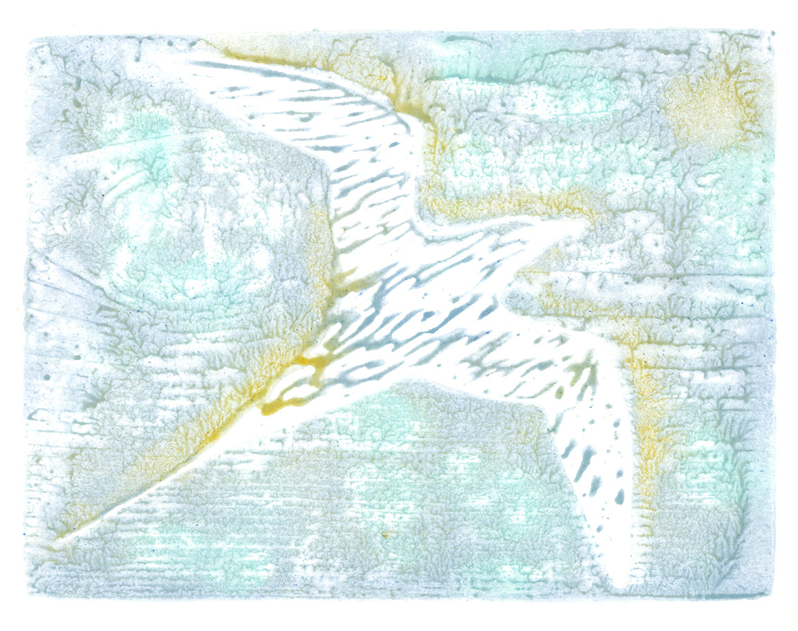 Tropic Bird woodblock print