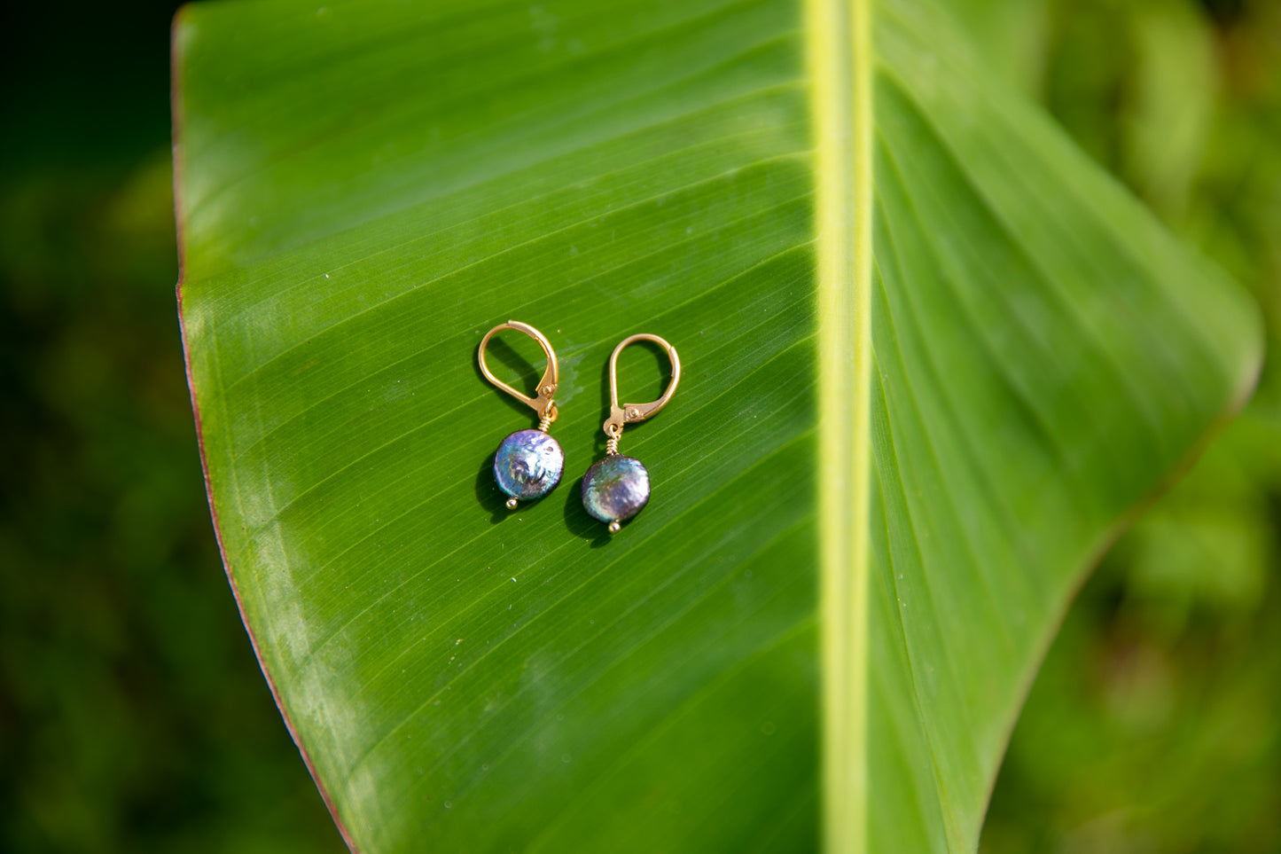 Freshwater Pearl Earrings