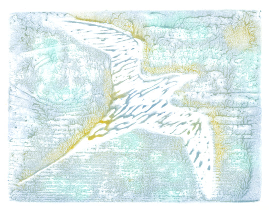 Tropic Bird woodblock print